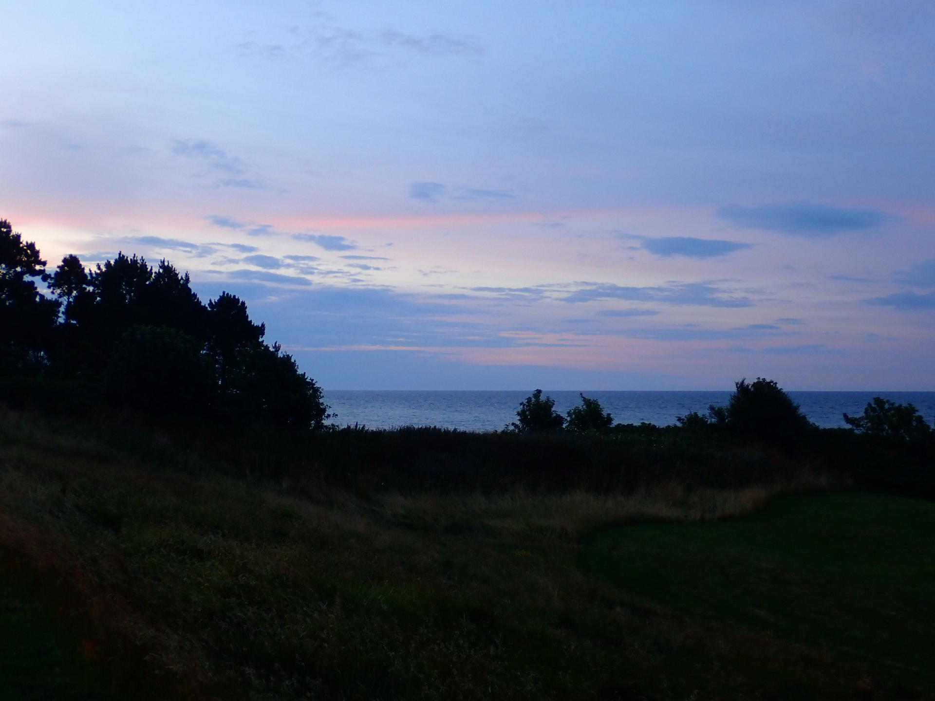 Silhouettes of trees and bushes against the horizon, at dusk