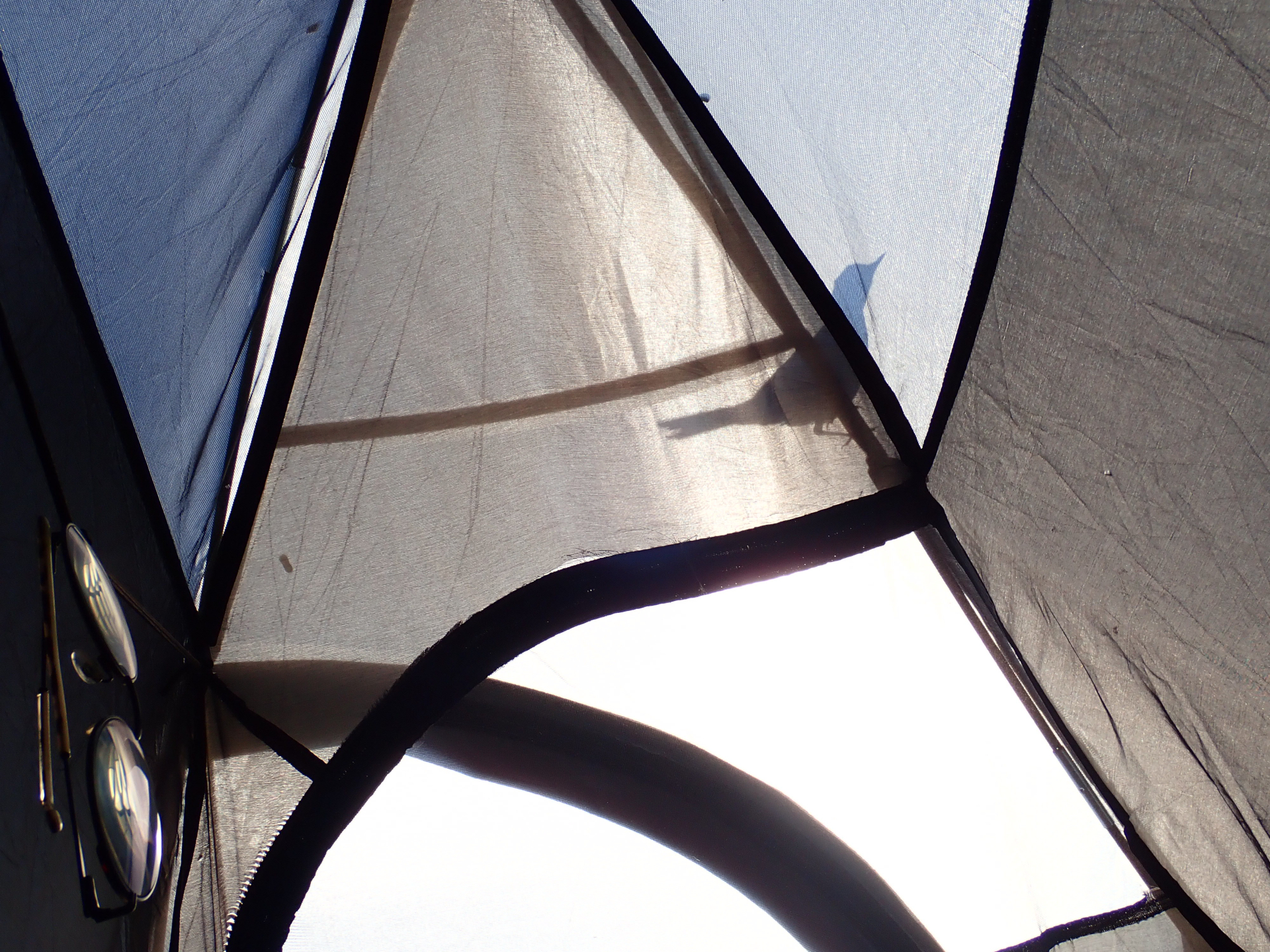 Silhouette of a little bird standing on the top of our tent seen from inside the tent
